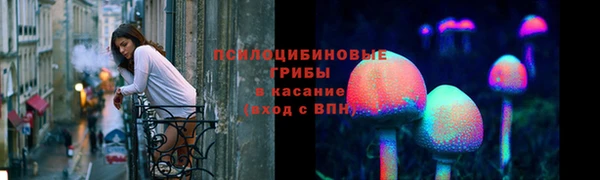 сатива Алзамай