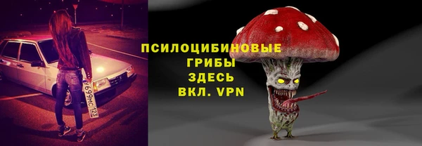 метадон Алексин