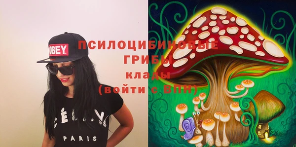 бутират Алексеевка