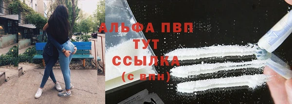 сатива Алзамай
