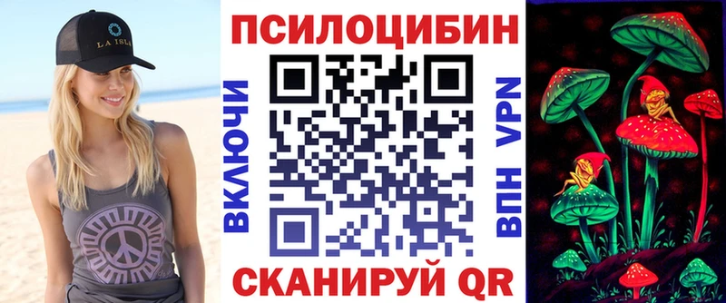 кракен ТОР  Саранск  Галлюциногенные грибы Psilocybe 